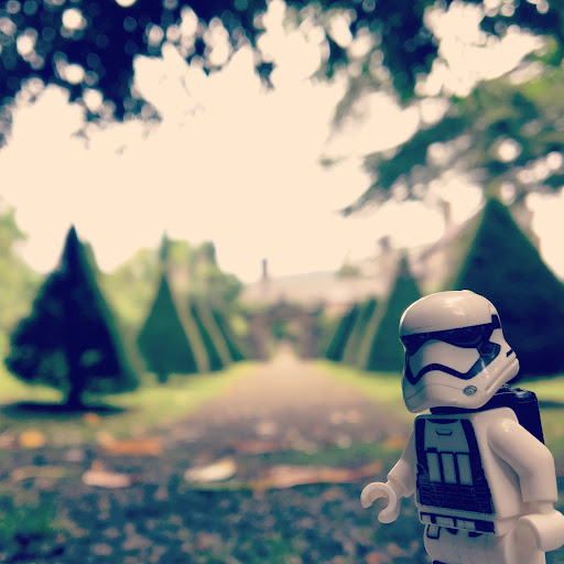 July 15, 2017 - IMG_0036