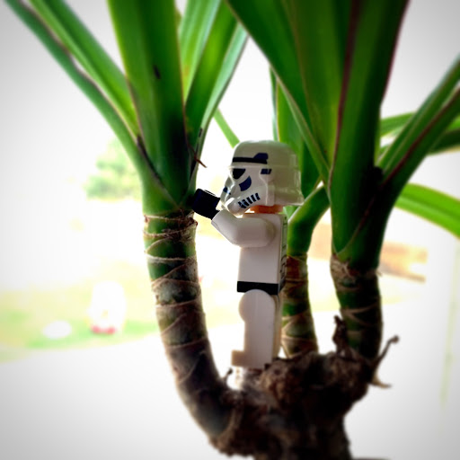 Plant Trooper