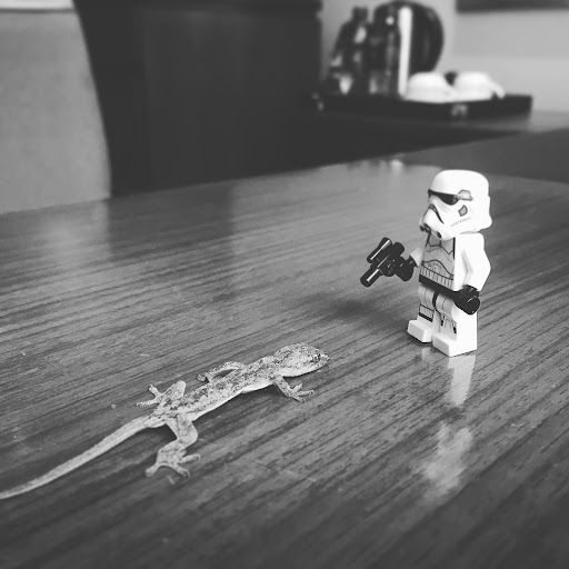 Friend or Foe Trooper