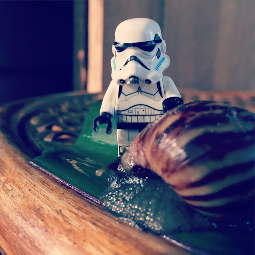 Snailgazing Trooper