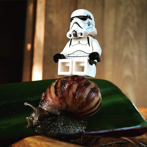 Snail Riding Trooper