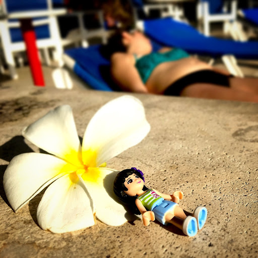 March 24, 2016 - IMG_3724