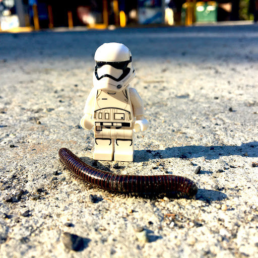 May 1, 2016 - IMG_4098