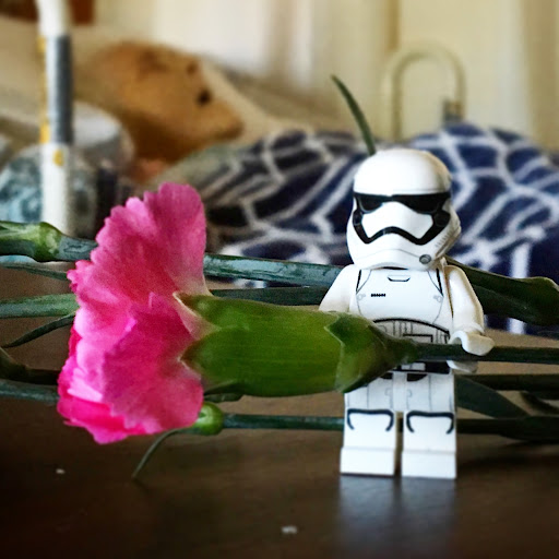 May 28, 2016 - IMG_4298