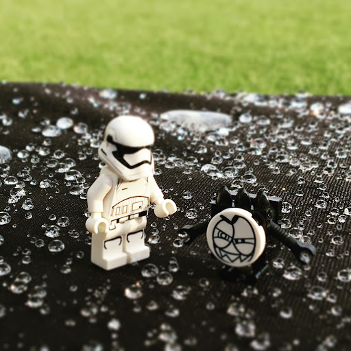 June 3, 2016 - IMG_4330