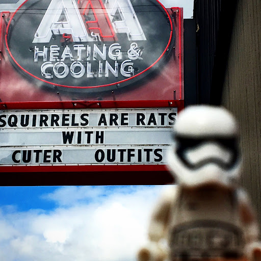 June 21, 2016 - IMG_4455