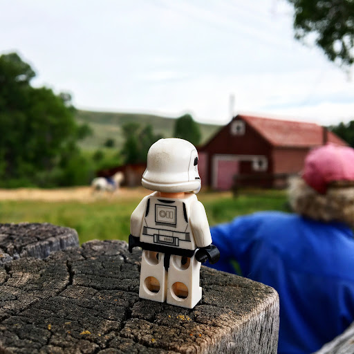 July 1, 2016 - IMG_4681