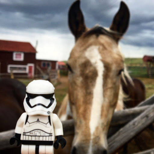 July 1, 2016 - IMG_4682