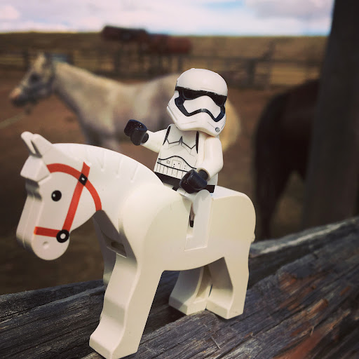 September 3, 2016 - IMG_5403