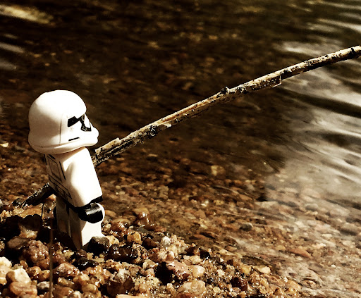 September 4, 2016 - IMG_5489