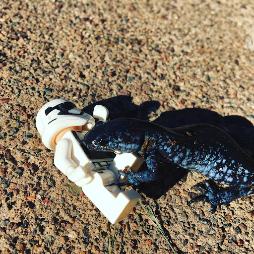 September 18, 2016 - IMG_5537