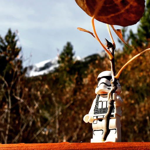 October 8, 2016 - IMG_5691