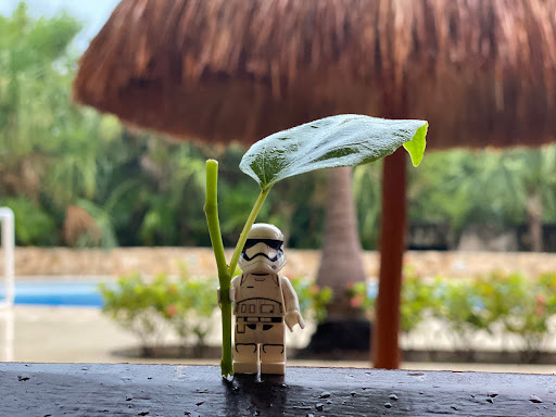 Umbrella Trooper