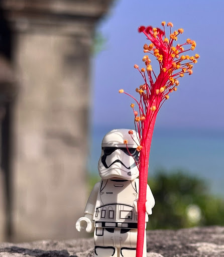 Flower Trooper